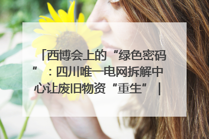 西博会上的“绿色密码”：四川唯一电网拆解中心让废旧物资“重生”｜西博寻“新”记