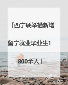西宁硬举措新增留宁就业毕业生1800余人