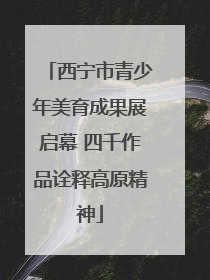 西宁市青少年美育成果展启幕 四千作品诠释高原精神