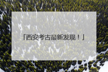 西安考古最新发现！