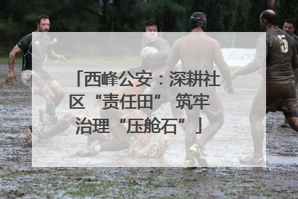 西峰公安：深耕社区“责任田” 筑牢治理“压舱石”