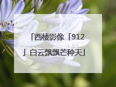 西楼影像「912」白云飘飘芒种天