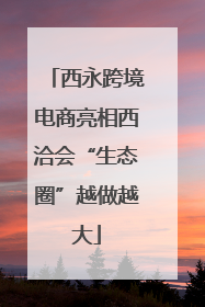 西永跨境电商亮相西洽会“生态圈”越做越大