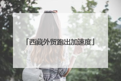 西藏外贸跑出加速度