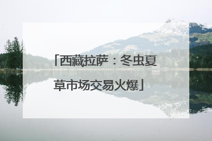 西藏拉萨：冬虫夏草市场交易火爆