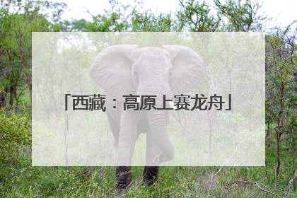 西藏：高原上赛龙舟