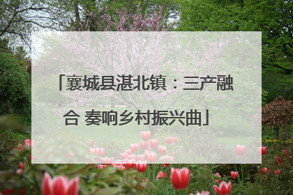 襄城县湛北镇：三产融合 奏响乡村振兴曲