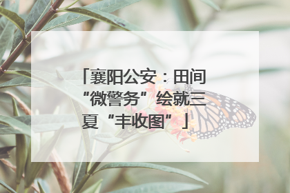 襄阳公安：田间“微警务”绘就三夏“丰收图”