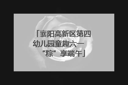 襄阳高新区第四幼儿园童趣六一 “粽”享端午