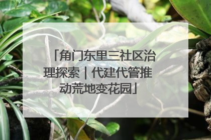 角门东里三社区治理探索｜代建代管推动荒地变花园