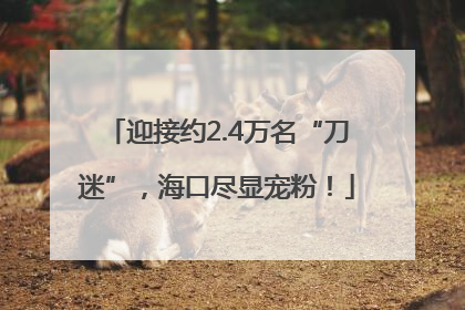 迎接约2.4万名“刀迷”，海口尽显宠粉！