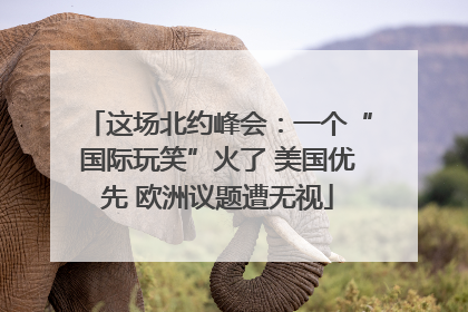 这场北约峰会：一个“国际玩笑”火了 美国优先 欧洲议题遭无视