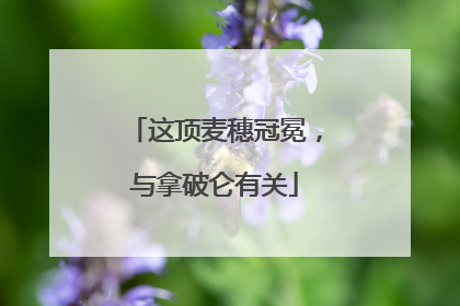 这顶麦穗冠冕，与拿破仑有关