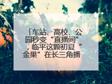车站、高校、公园秒变“直播间”，临平这颗初夏“金果”在长三角播撒甜美