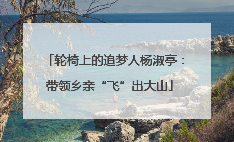 轮椅上的追梦人杨淑亭：带领乡亲“飞”出大山