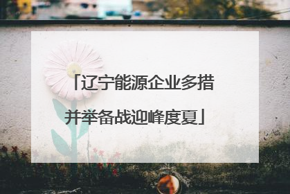 辽宁能源企业多措并举备战迎峰度夏