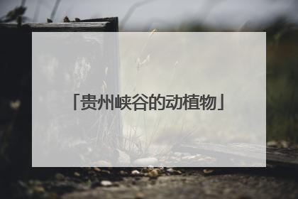 贵州峡谷的动植物