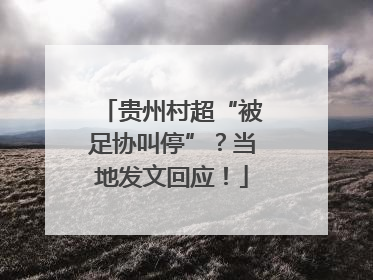 贵州村超“被足协叫停”？当地发文回应！