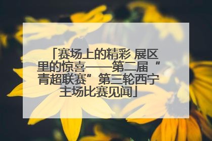 赛场上的精彩 展区里的惊喜——第二届“青超联赛”第三轮西宁主场比赛见闻