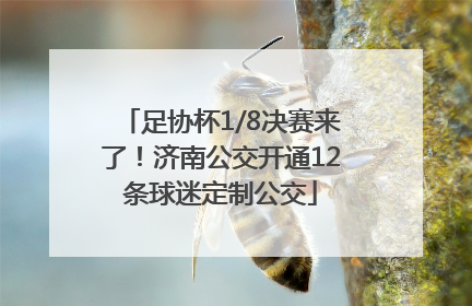 足协杯1/8决赛来了！济南公交开通12条球迷定制公交