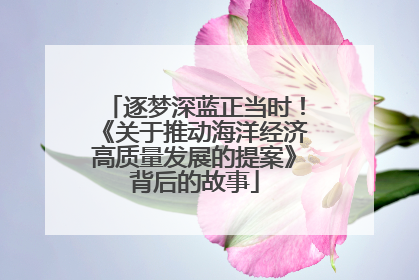 逐梦深蓝正当时！《关于推动海洋经济高质量发展的提案》背后的故事