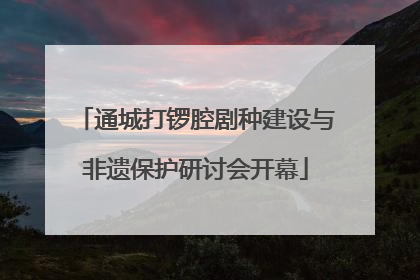 通城打锣腔剧种建设与非遗保护研讨会开幕