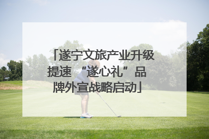 遂宁文旅产业升级提速 “遂心礼”品牌外宣战略启动