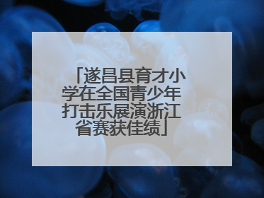遂昌县育才小学在全国青少年打击乐展演浙江省赛获佳绩