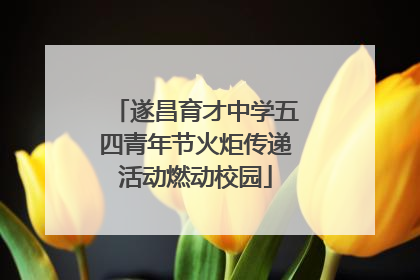 遂昌育才中学五四青年节火炬传递活动燃动校园