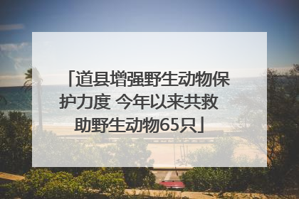 道县增强野生动物保护力度 今年以来共救助野生动物65只