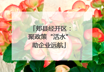 郏县经开区：聚政策“活水” 助企业远航