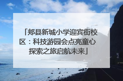 郏县新城小学迎宾街校区：科技游园会点亮童心 探索之旅启航未来