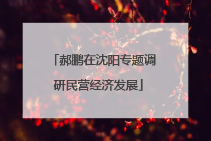 郝鹏在沈阳专题调研民营经济发展