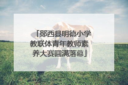 郧西县明德小学教联体青年教师素养大赛圆满落幕