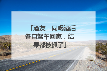 酒友一同喝酒后各自驾车回家，结果都被抓了