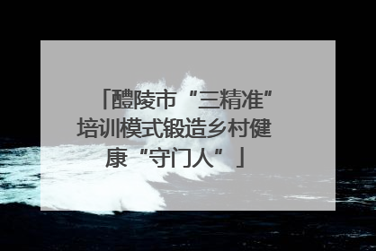醴陵市“三精准”培训模式锻造乡村健康“守门人”