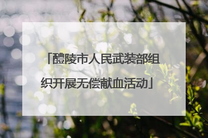 醴陵市人民武装部组织开展无偿献血活动