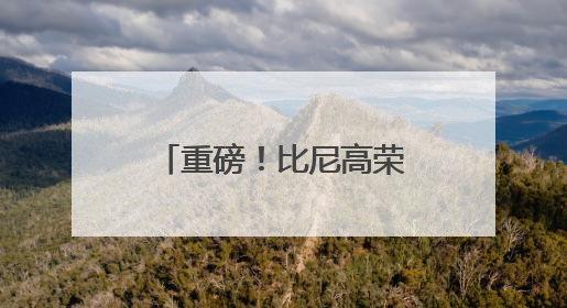 重磅！比尼高荣获“药食同源儿童成长奶粉品类开创者”权威认证！