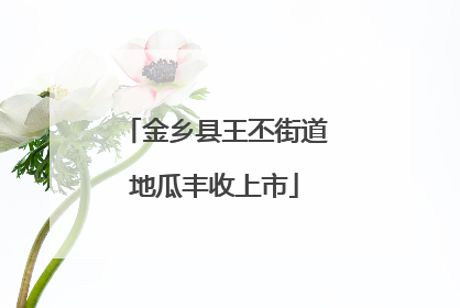 金乡县王丕街道地瓜丰收上市
