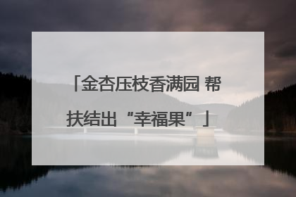金杏压枝香满园 帮扶结出“幸福果”