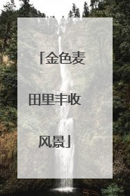 金色麦田里丰收风景
