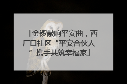 金锣敲响平安曲，西厂口社区“平安合伙人”携手共筑幸福家