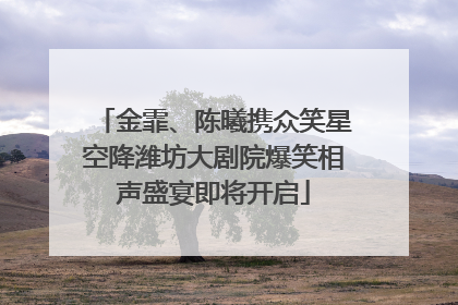 金霏、陈曦携众笑星空降潍坊大剧院爆笑相声盛宴即将开启