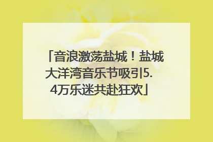 音浪激荡盐城！盐城大洋湾音乐节吸引5.4万乐迷共赴狂欢