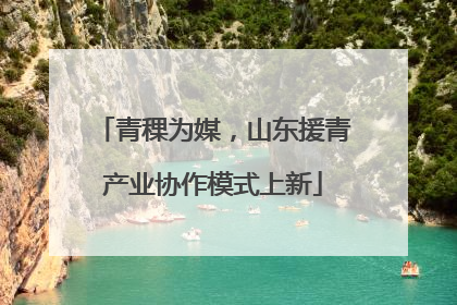 青稞为媒，山东援青产业协作模式上新