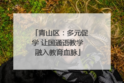 青山区：多元促学 让国通语教学融入教育血脉