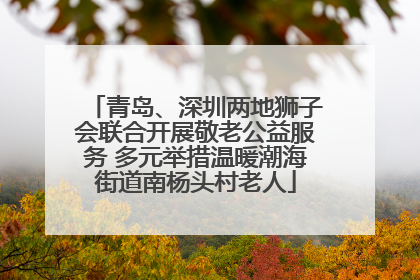 青岛、深圳两地狮子会联合开展敬老公益服务 多元举措温暖潮海街道南杨头村老人