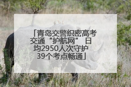 青岛交警织密高考交通“护航网” 日均2950人次守护39个考点畅通