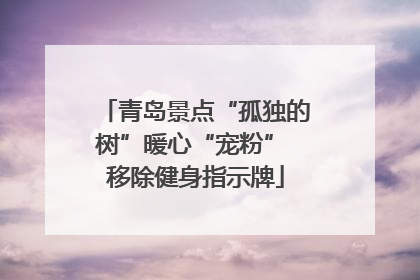 青岛景点“孤独的树”暖心“宠粉” 移除健身指示牌