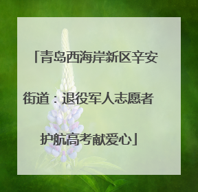 青岛西海岸新区辛安街道：退役军人志愿者护航高考献爱心